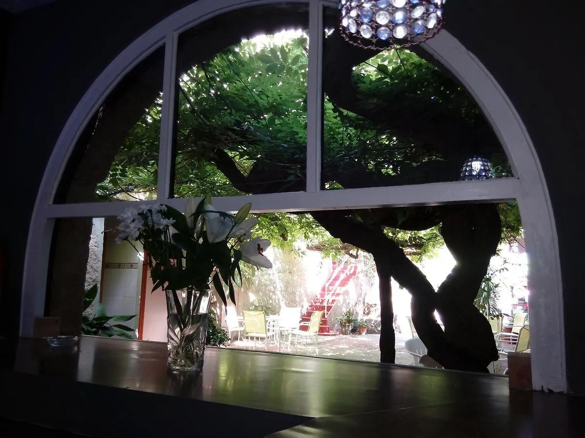 Hotel Planas Lloret de Mar 0*,  Spanien